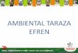 Ambiental Taraza Efren