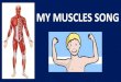 My muscles and organs powepoint
