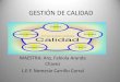 Gestion de Calidad - LEF Nemesio Carrillo Corral