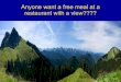 Will Hike For Free Food