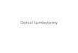 Dorsal Lumbotomy