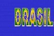 Brasil sandra