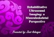 Rehabilitative Ultrasound Imaging: A musculoskeletal Perspective
