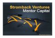 Stromback Ventures - Mentor Capital