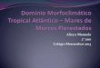 Domínio morfoclimático tropical atlântico – mares de morros