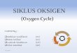 Siklus oksigen