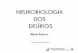 Neurobiologia dos Delírios