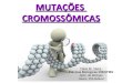 Mutações cromossômicas curso de inverno 2014
