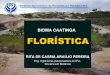 Bioma caatinga florística rita de cássia ipa