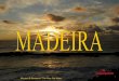 VIAGE - ILHA DA MADEIRA