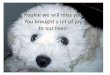 Pookie we will miss you