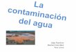 La Contaminacion del Agua por Aida Ramirez, Ana Lores y Marisol Gonzalez