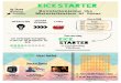 Kickstarter: Revolutionizing the Materialization of Ideas