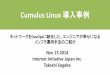 Cumulus Linux 導入事例 -ネットワークをDevOpsに統合した、エンジニアが幸せになるインフラ運用手法のご紹介-