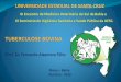 Apresentaçao XI encontro Med Vet UESC Tuberculose Bovina