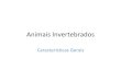 Animais invertebrados- Poríferos