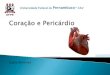 Coração e pericárdio