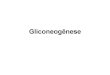 File1 4 gliconeogênese