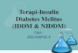 Terapi-Insulin Diabetes Melitus (IDDM & NIDDM)