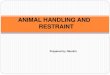 Animal handling & Restrain