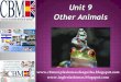 UNIT 9 - MORE ANIMALS