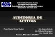 Auditoría Forense - Cuentas de Activos