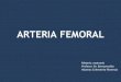 Arteria Femoral 1 Florencia Echeverria