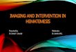 Imaging and intervention in hemetemesis