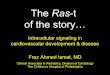 The Ras-t of the Story (Cardiology 2011)