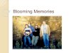 Blooming memories