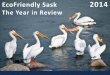 EcoFriendly Sask: The Year in Review - 2014