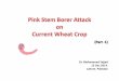 Management of Pink Stem Borer Attack on Wheat (Part -1)