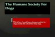 The humane society for dogs  richard comeau