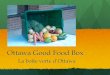 Good Food Box - Ottaw (La Boîte verte d'Ottawa)
