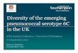 Diversity Of The Emerging Pneumococcal Serotype 6C