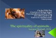 The Spirituality Of Animals