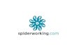 Spiderworking Carlow Business Club