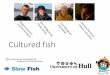 Slowfish Manifesto presentation at UNESCO (Bergen) and Terra Madre (Turin)