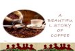 Coffee - A beauty Story Coffee