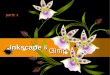 Inkscape & Gimp - Patterns of Orchids - parte 2
