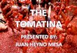 The tomatina jhmc