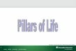 Mohd khairdotcom slides   pillars of life