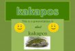 Kakapo report v5