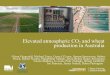 Elevated atmospheric CO2 and wheat production in Australia - Glenn Fitzgerald
