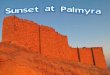 Sunset at Palmyra