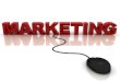 Marketing  (intro,advantages,scope,marketing mixes,objections)