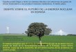 Valeriano Ruiz · Debate sobre el Futuro de la energía Nuclear en España