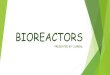 Bioreactors for bioremediation