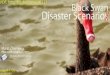 Black Swan Disaster Scenarios