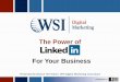 WSI Digitaledge Marketing  -Linked in for business